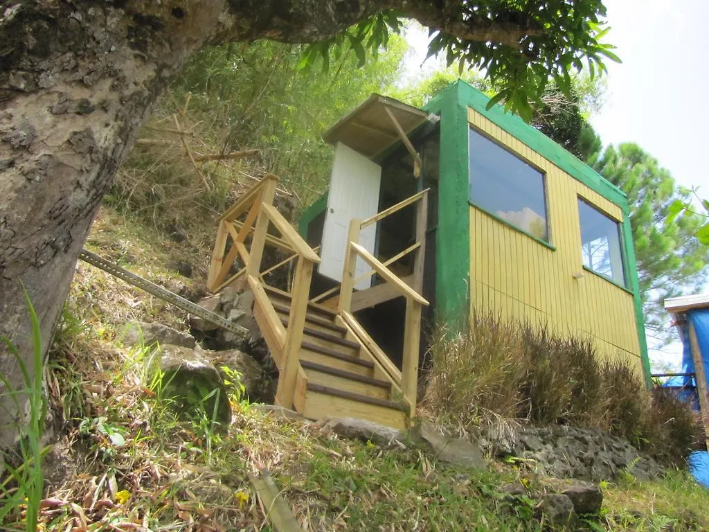Lodge Blue Mountain Wilderness Retreat Jamaica House Βίλα Πορτ Αντόνιο Τζαμάικα
