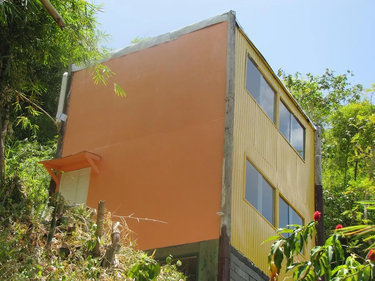Blue Mountain Wilderness Retreat Jamaica House Βίλα Πορτ Αντόνιο Lodge